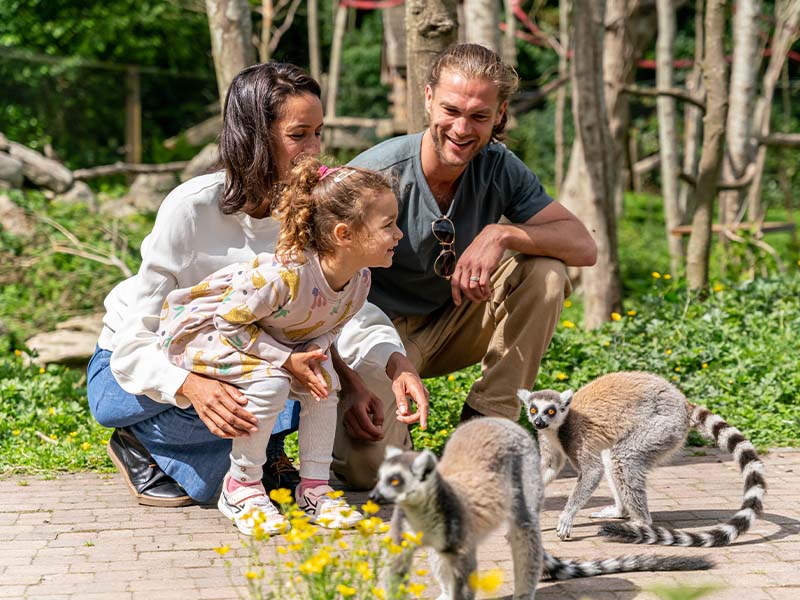 family of three near some lemurs at emerald park