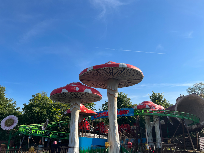 A section of the Ladybird ride at Emerald Park