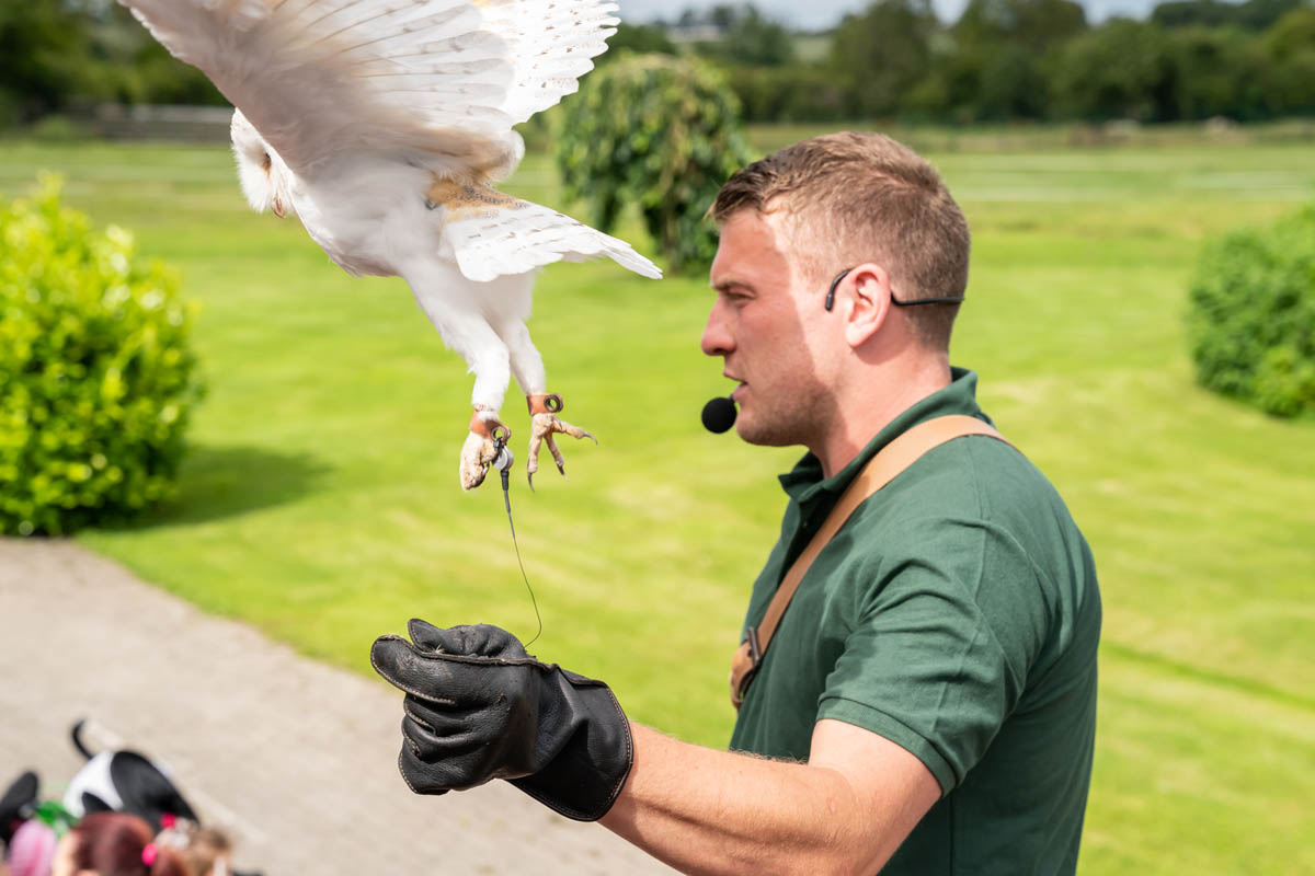 bird trainer and bird at emerald park