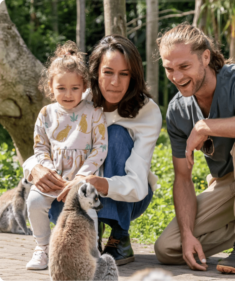 family with young child looking at ring tailed lemur
