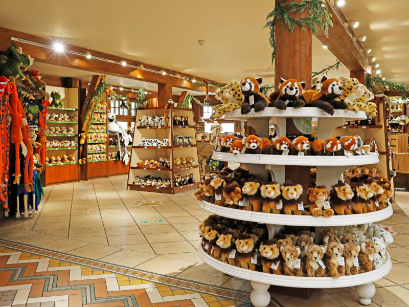 teddy bears of animals on shelf at gift shop in emerald park