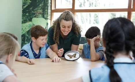 woman showing a butterfly to some children