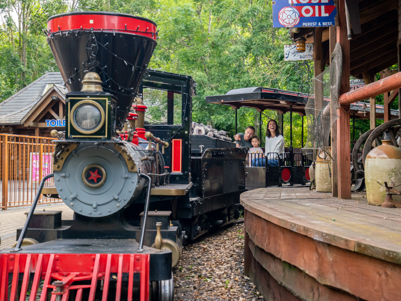 steam train with family