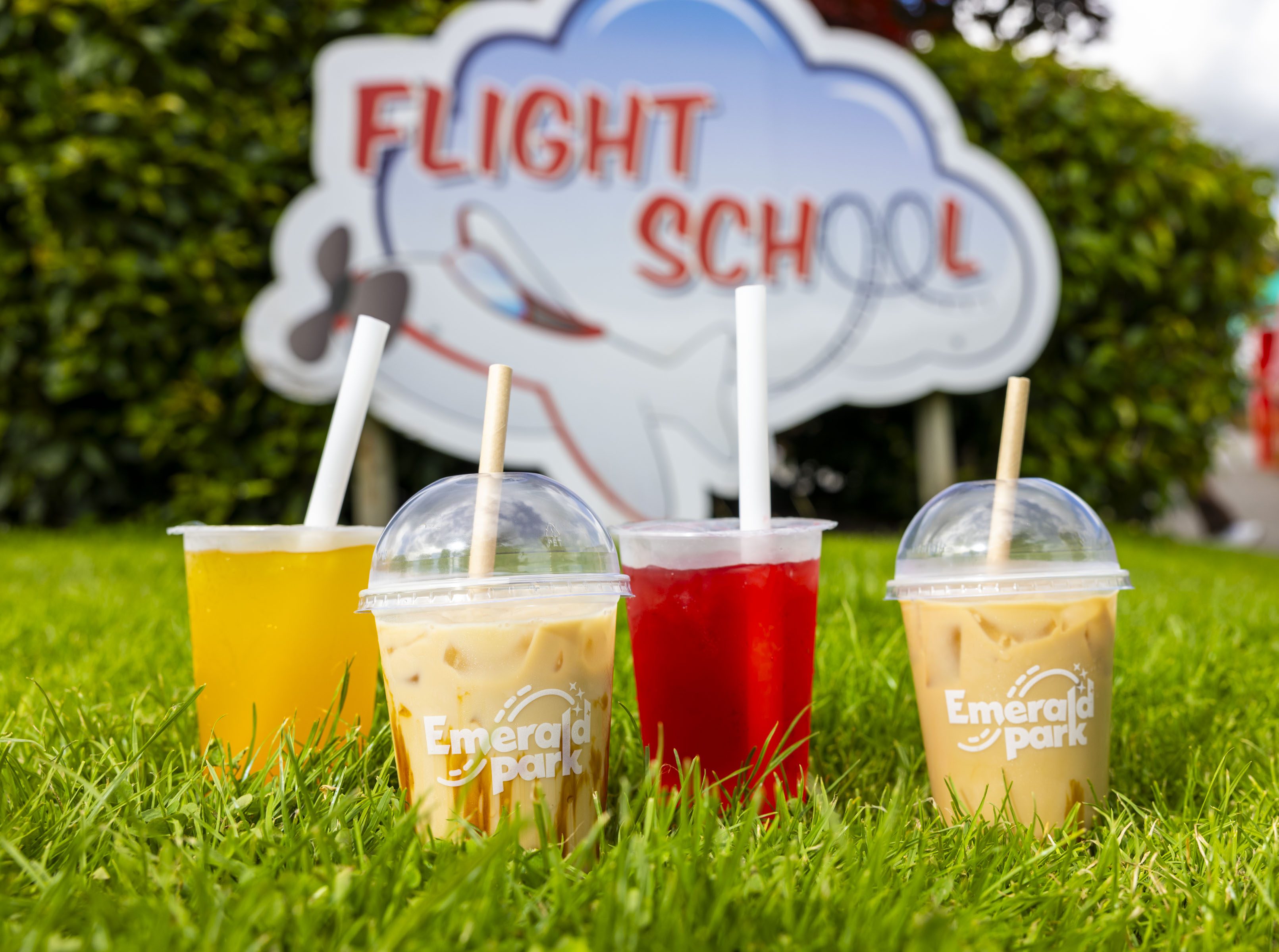two iced coffees and a red and yellow bubble tea placed on the grass in front of a Flight School sign