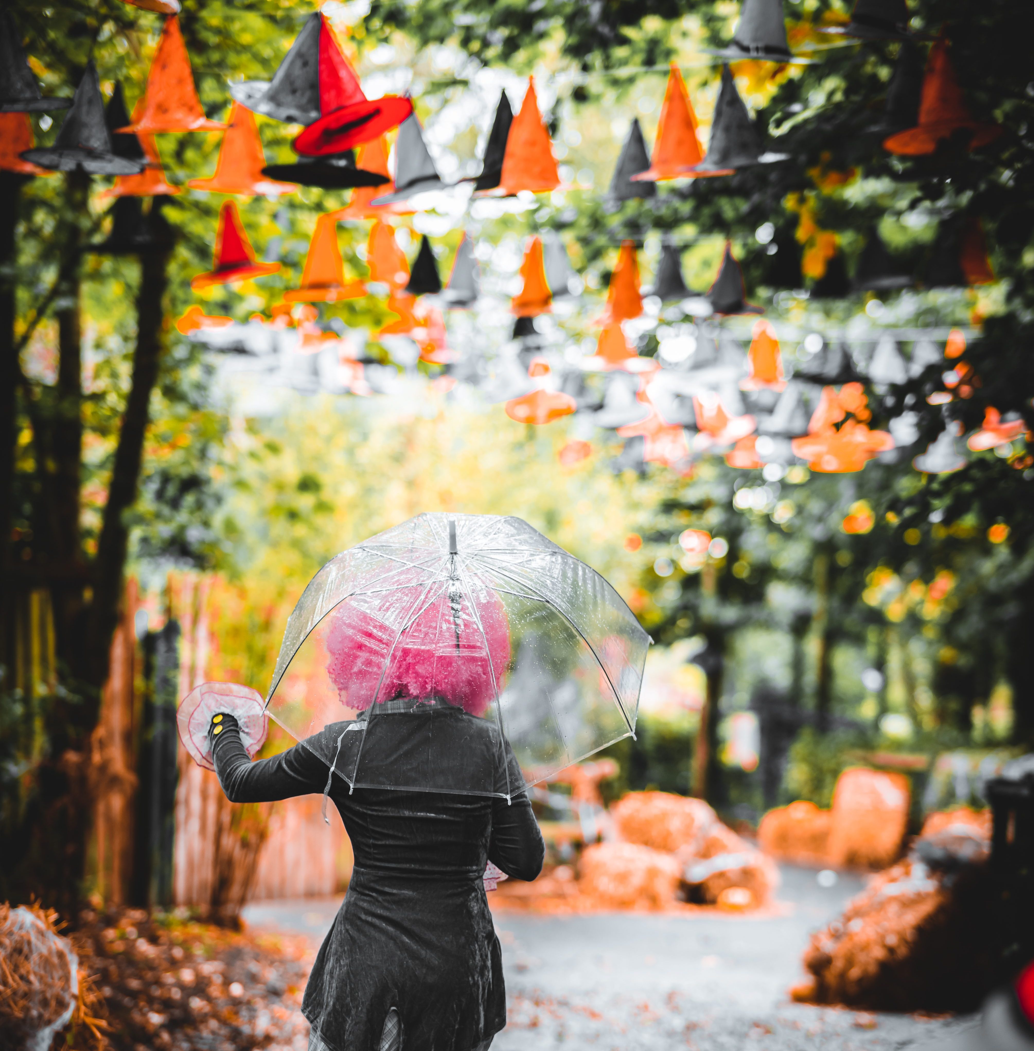 a ghoul walking through a pathway at Emerald Park's Halloween event. Witches hats line the pathway and the ghoul holds an umbrella