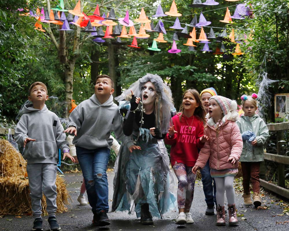 a group of children with a ghoul walking along a pathway at Emerald Park. Witches hats line above the path.