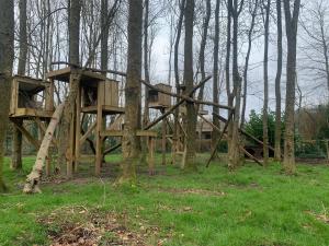 a climbing frame built amongst trees with Eurasian lynxes visible inside