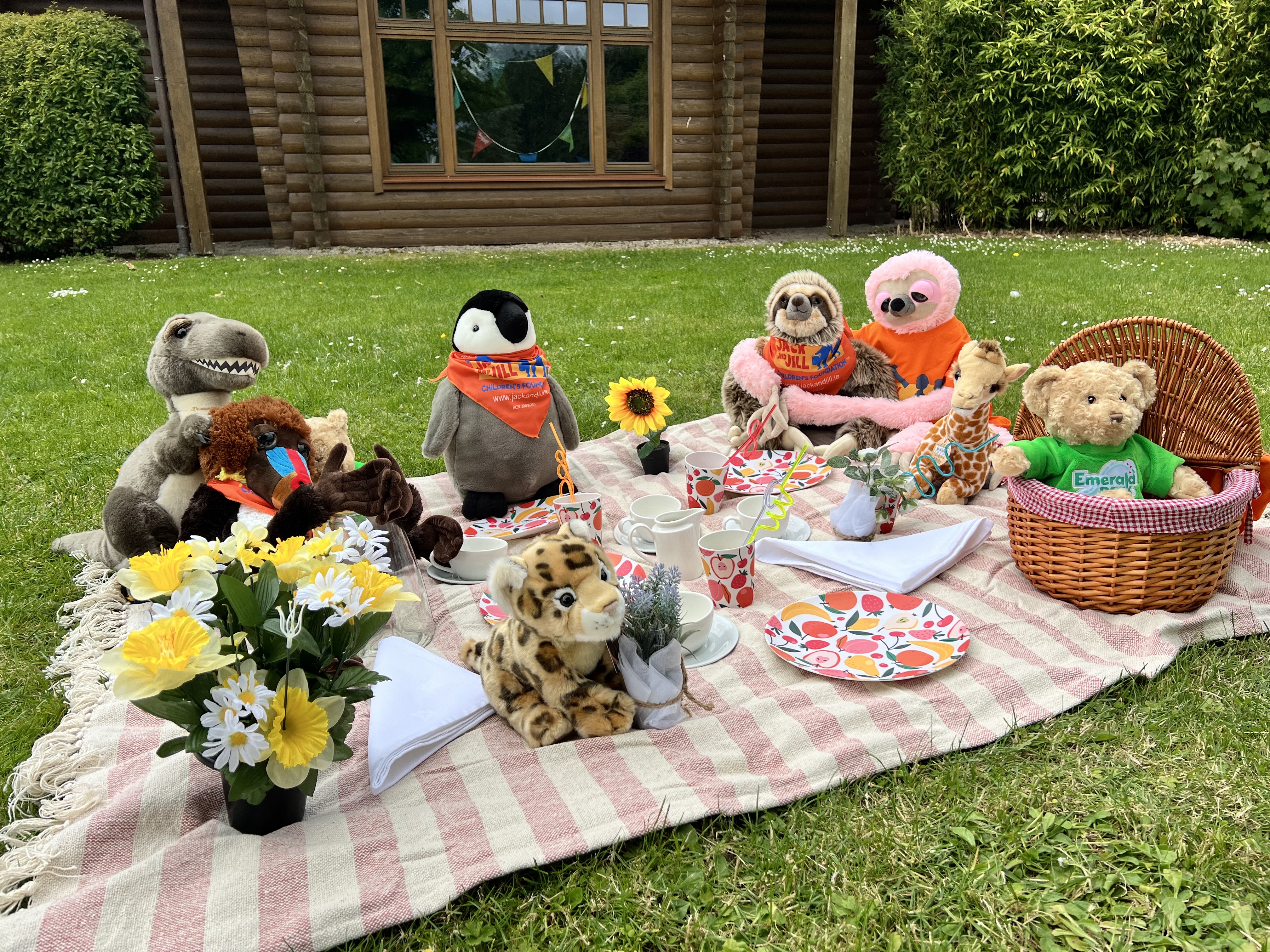 J&J Teddy Bear Picnic