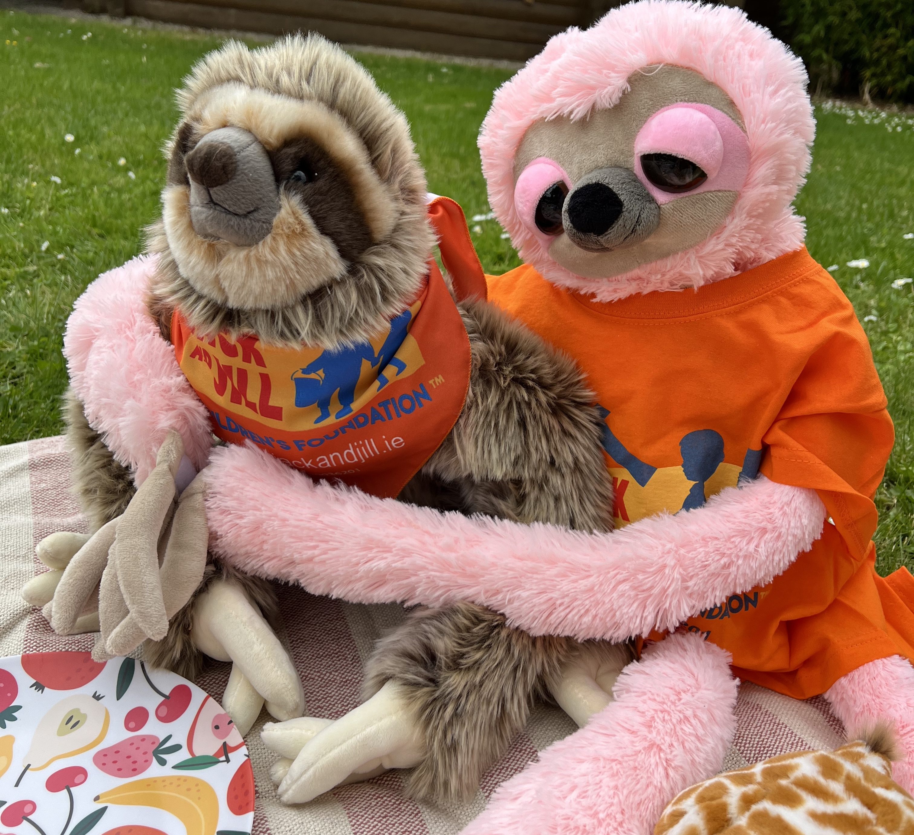 J&J Teddy Bear Picnic