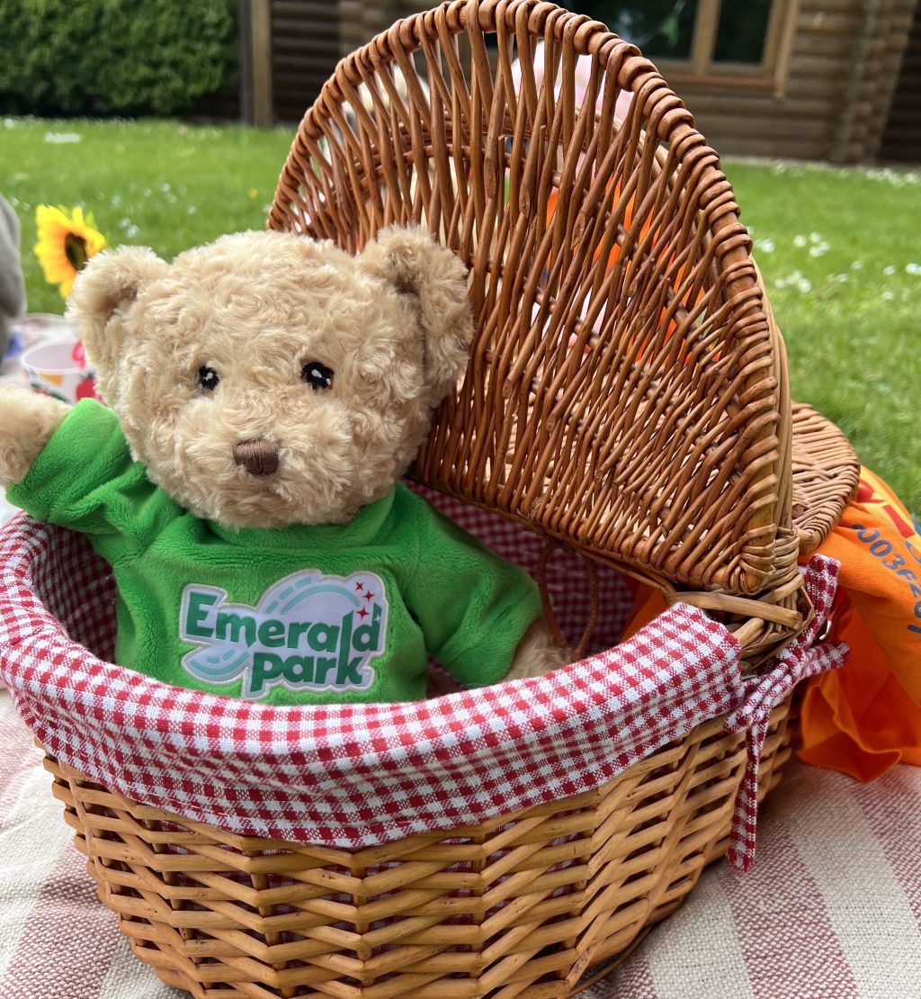 Jack and Jill Teddy Bear Picnic
