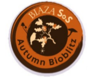 BIAZA Spotted on Site