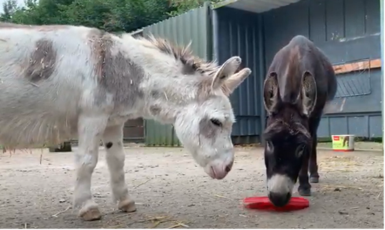 Zoo News - January 2025