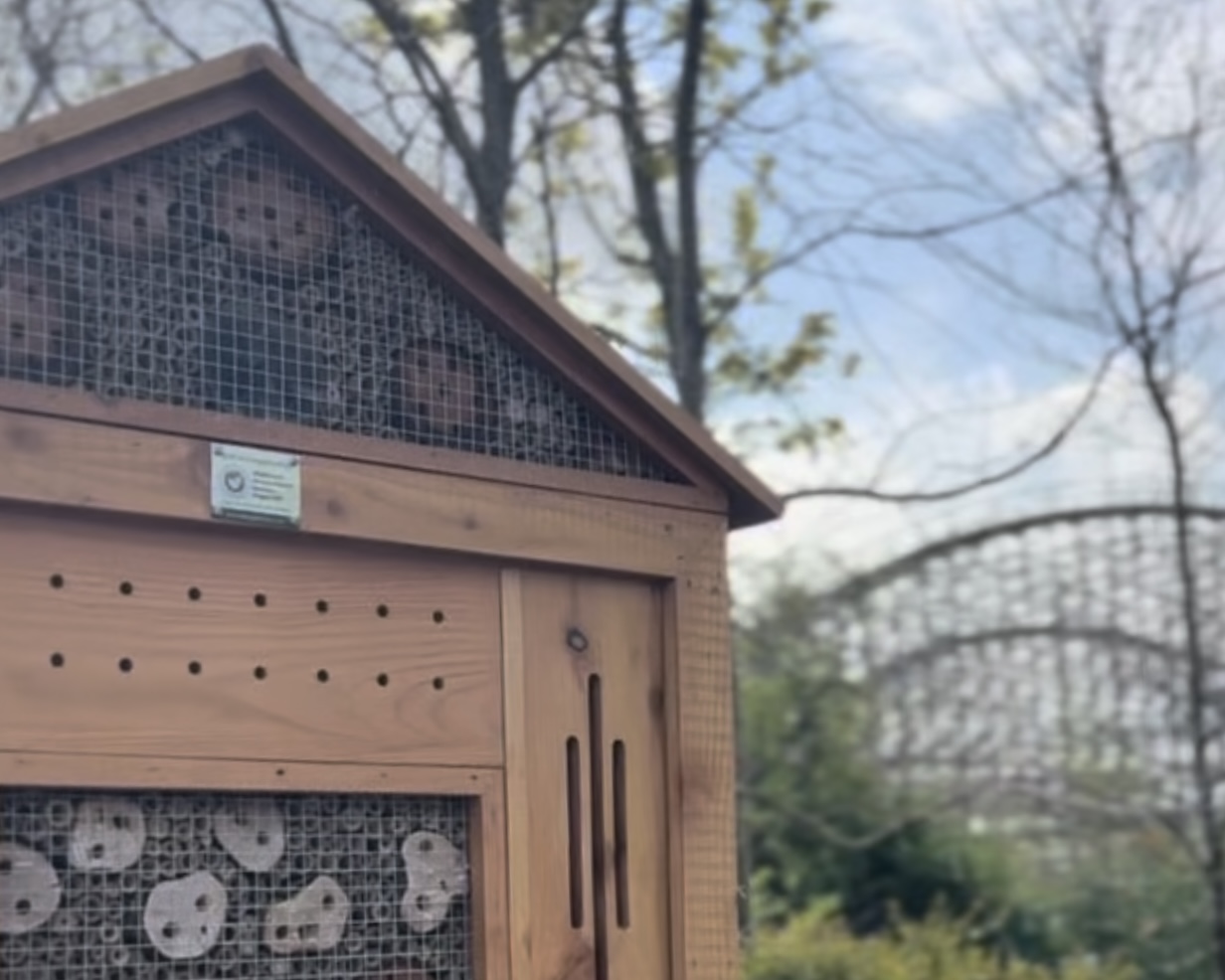 Bug hotel with Cú Chulainn in background.
