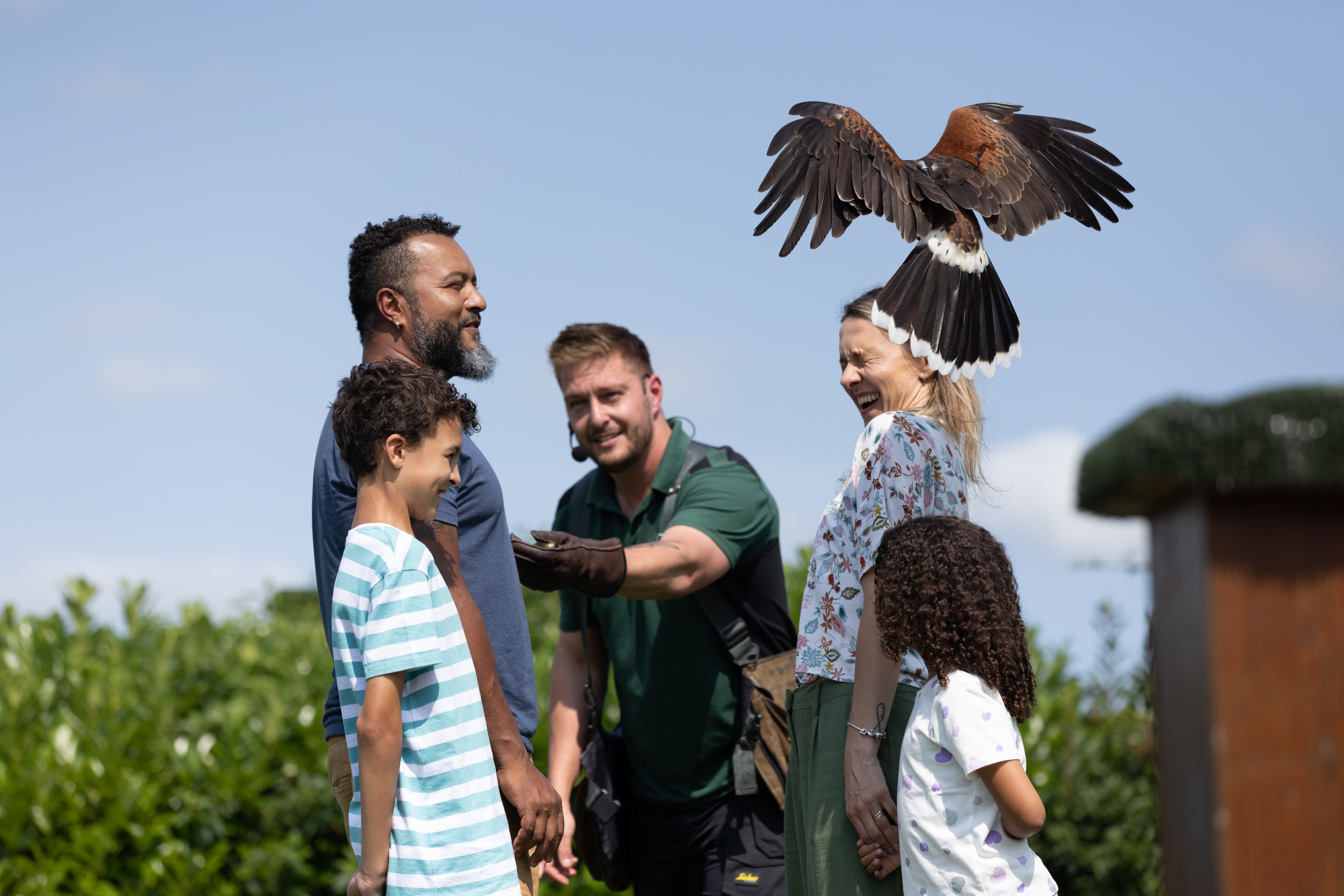 World Of raptors