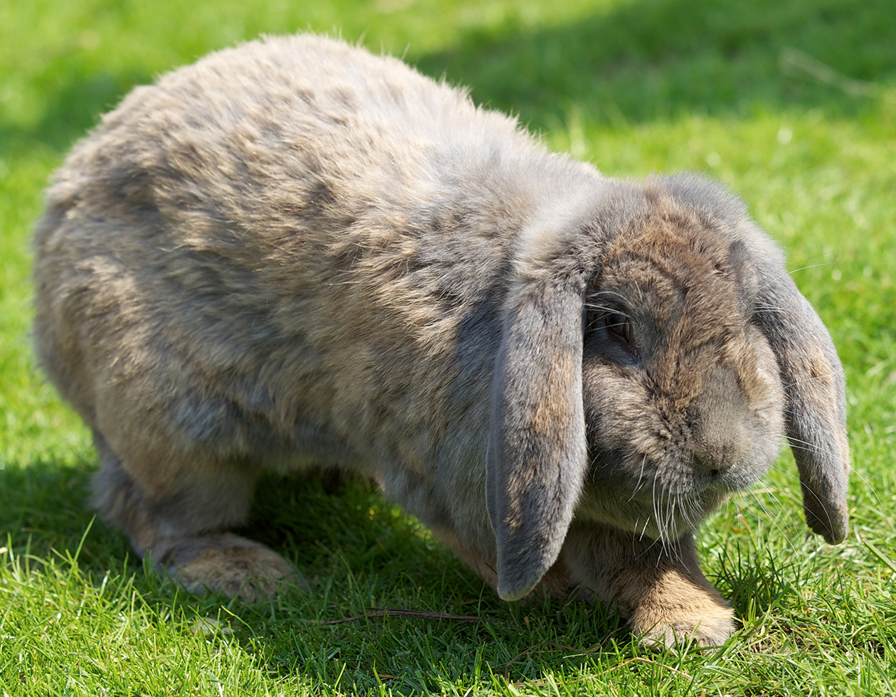 Enjoy Easter Themed Activities!