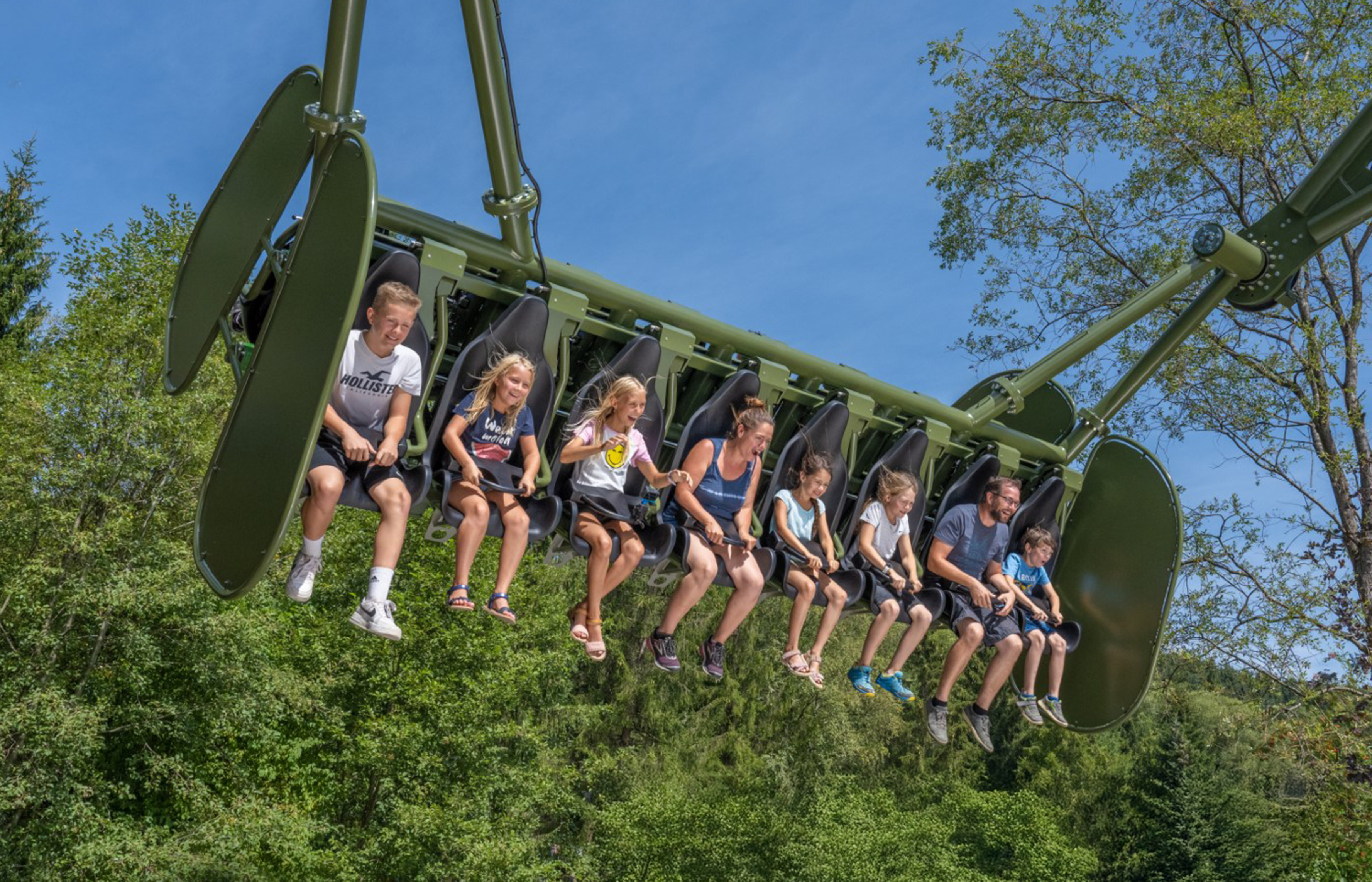 New! Wild Swing Ride