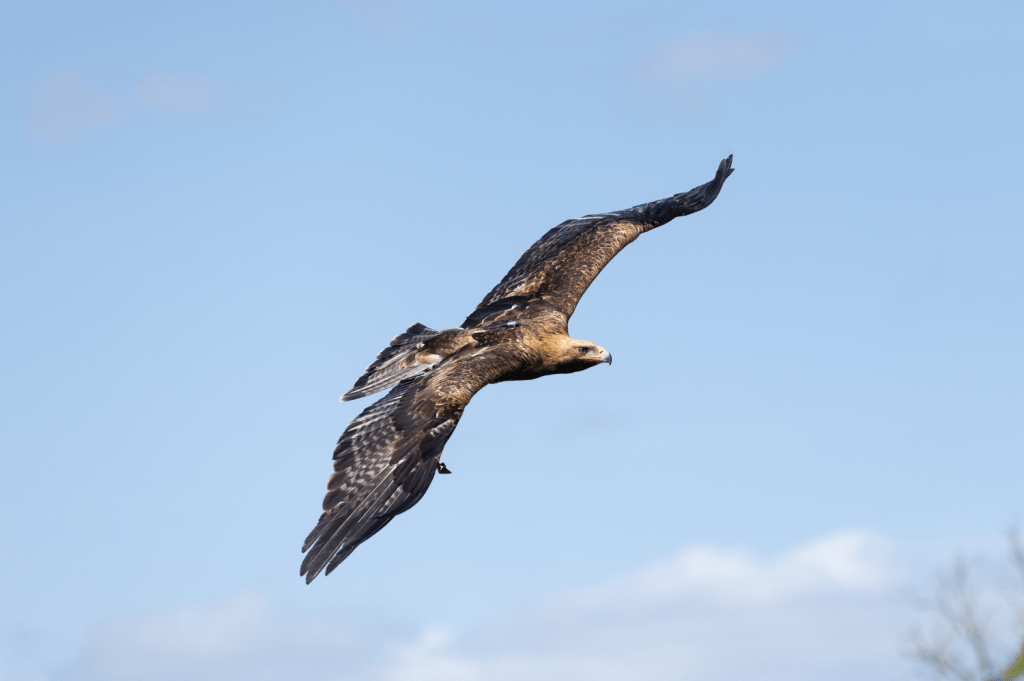 Zoo News - March 2026