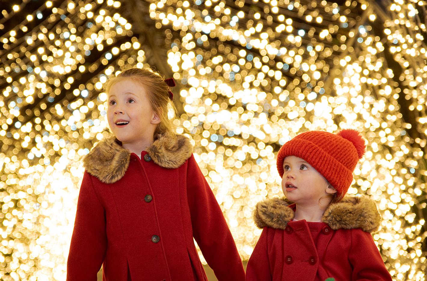 Magical Lights & Photo Ops