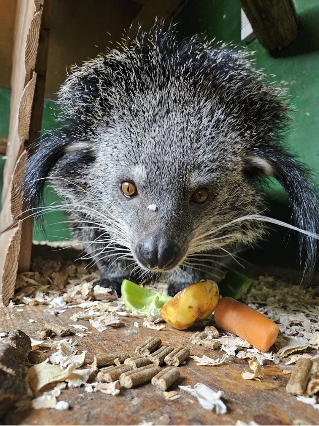 Zoo News - May 2026