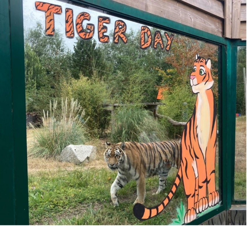Zoo News - July 2026